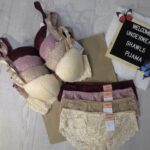 Lace Bra and Panty Set Women Sexy Lingerie