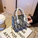 2021 Fashion snakeskin mini purse ladies hand bags women handbags luxury purses handbags for women