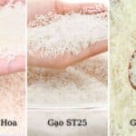 Nang Hoa Rice Gạo 10kg BLACK FRIDAY SALE