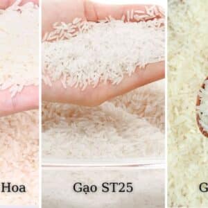 Nang Hoa Rice Gạo 10kg BLACK FRIDAY SALE